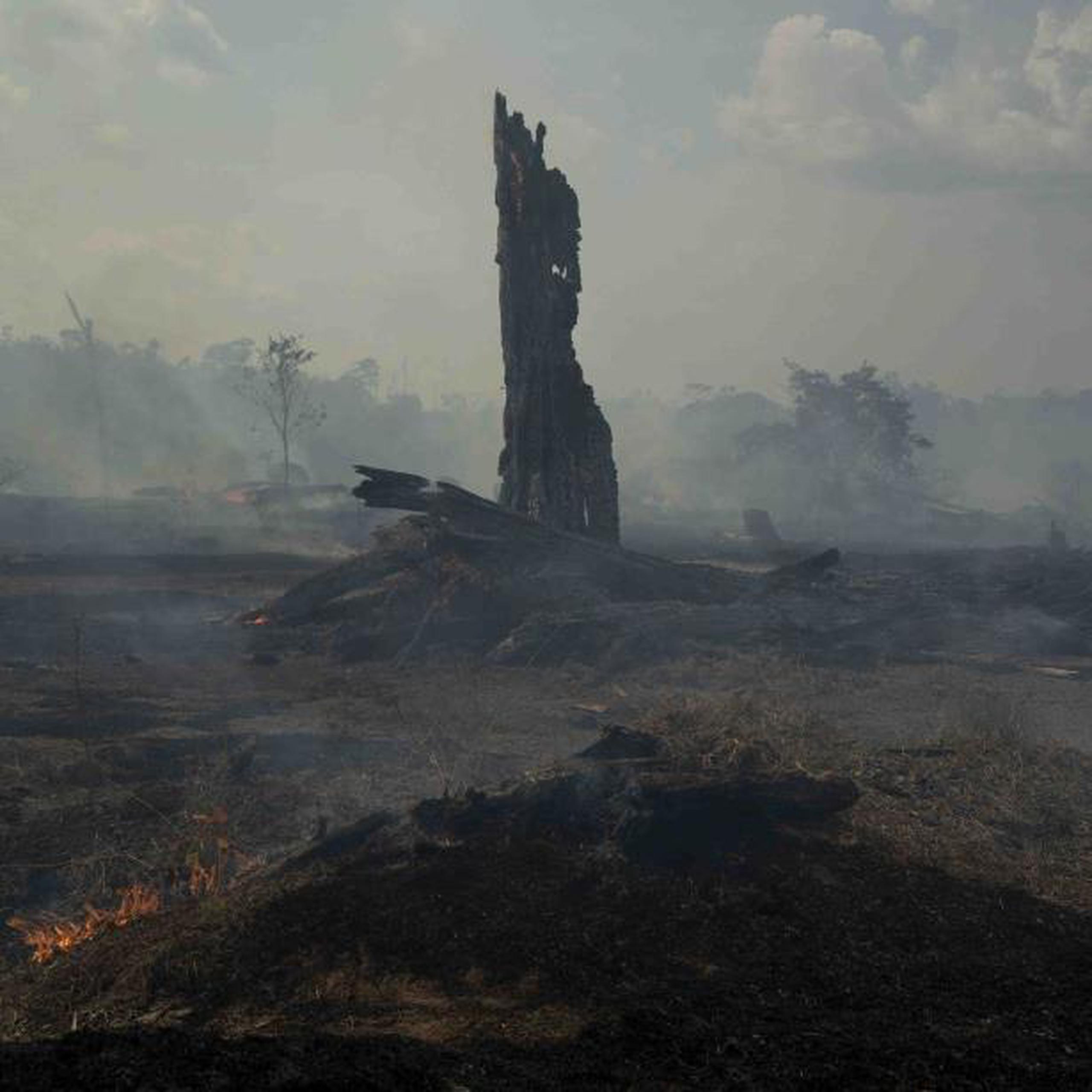 El climatólogo Carlos Nobre, de la Universidad de Sao Paulo, calcula que si se destruye el 20 al 25% de la Amazonía, la estación seca se prolongará lo suficiente para transformarlo en sabana. (AP / Leo Correa)