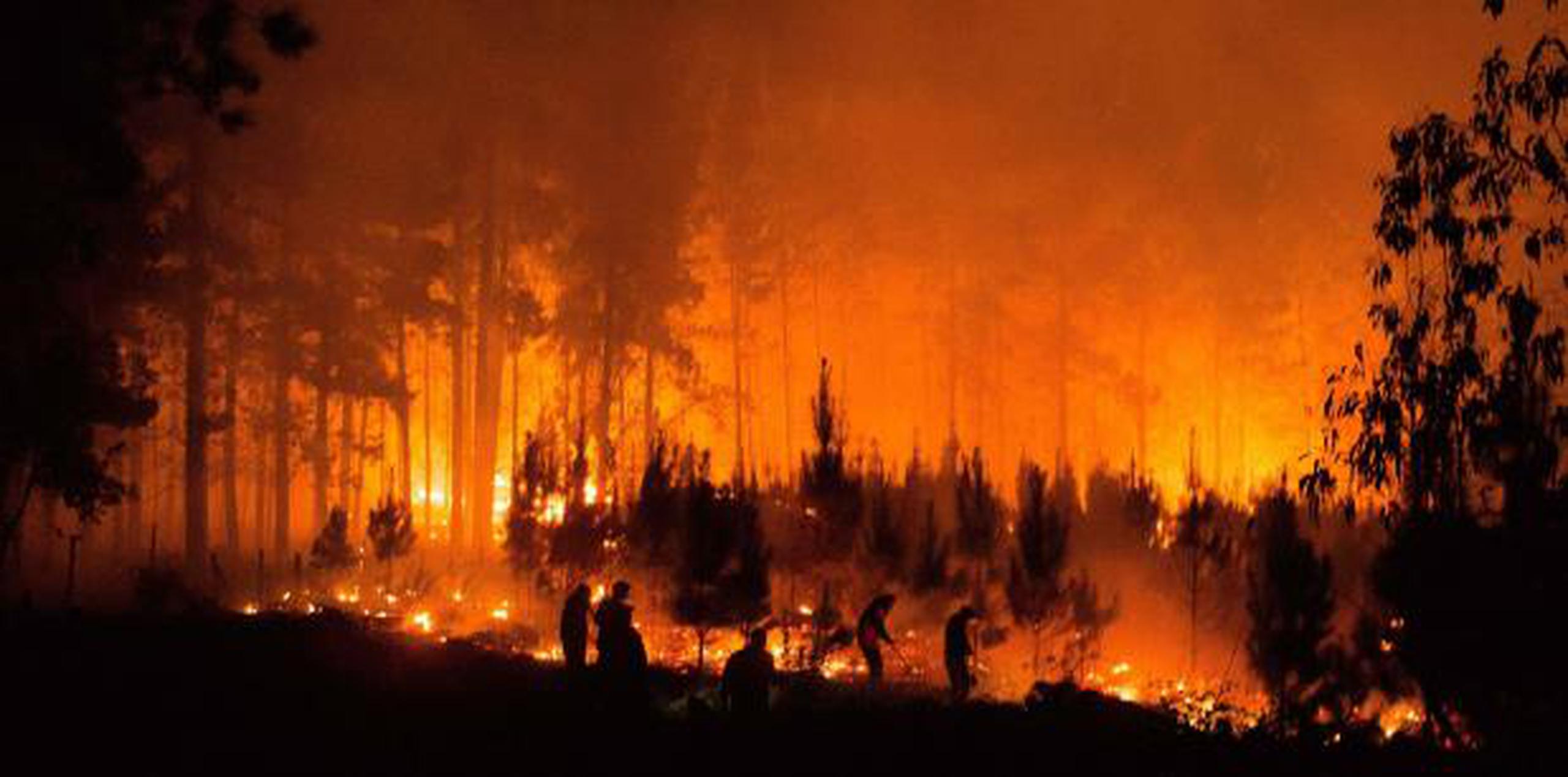 El alcalde de la comuna, Patricio Ulloa, hizo un llamado urgente para poder combatir los incendios forestales en la región. (EFE)