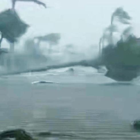 Techos y palmas salen volando: impactante vídeo del huracán Ian en Florida