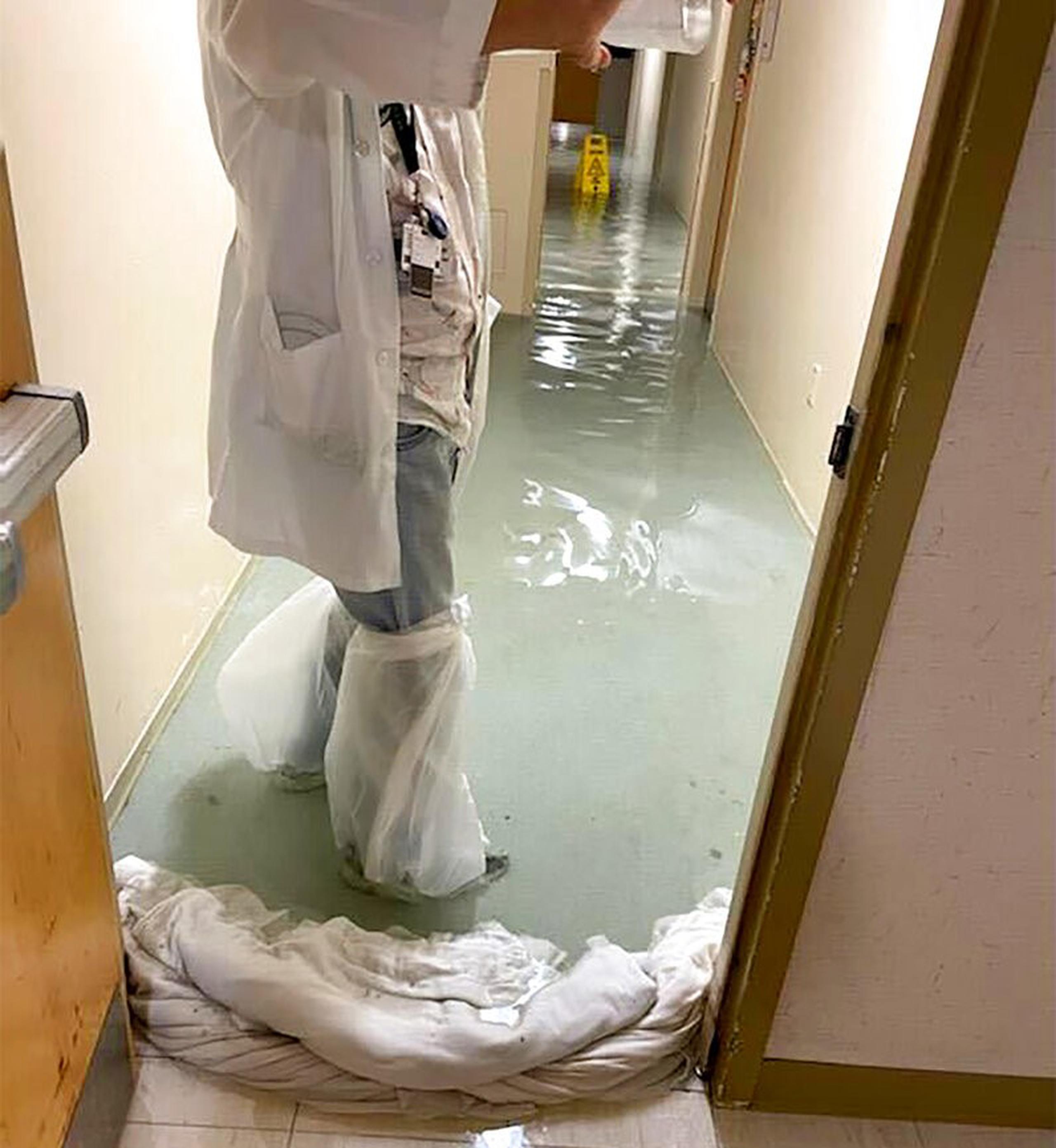 En esta foto proporcionada por la doctora Birgit Bodine, un miembro del personal se encuentra en un pasillo inundado en el Hospital HCA Florida Fawcett en Port Charlotte, Florida, el 28 de septiembre de 2022.