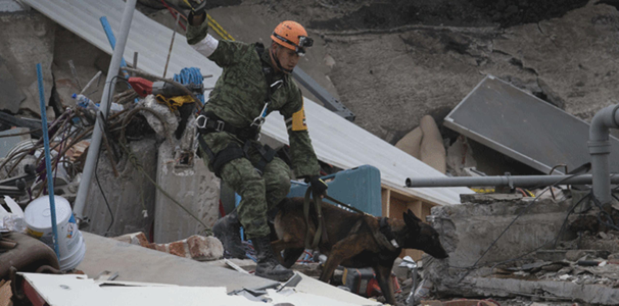 Un rescatista buscaba sobrevientes entre los escombros. (AP / Moisés Castillo)