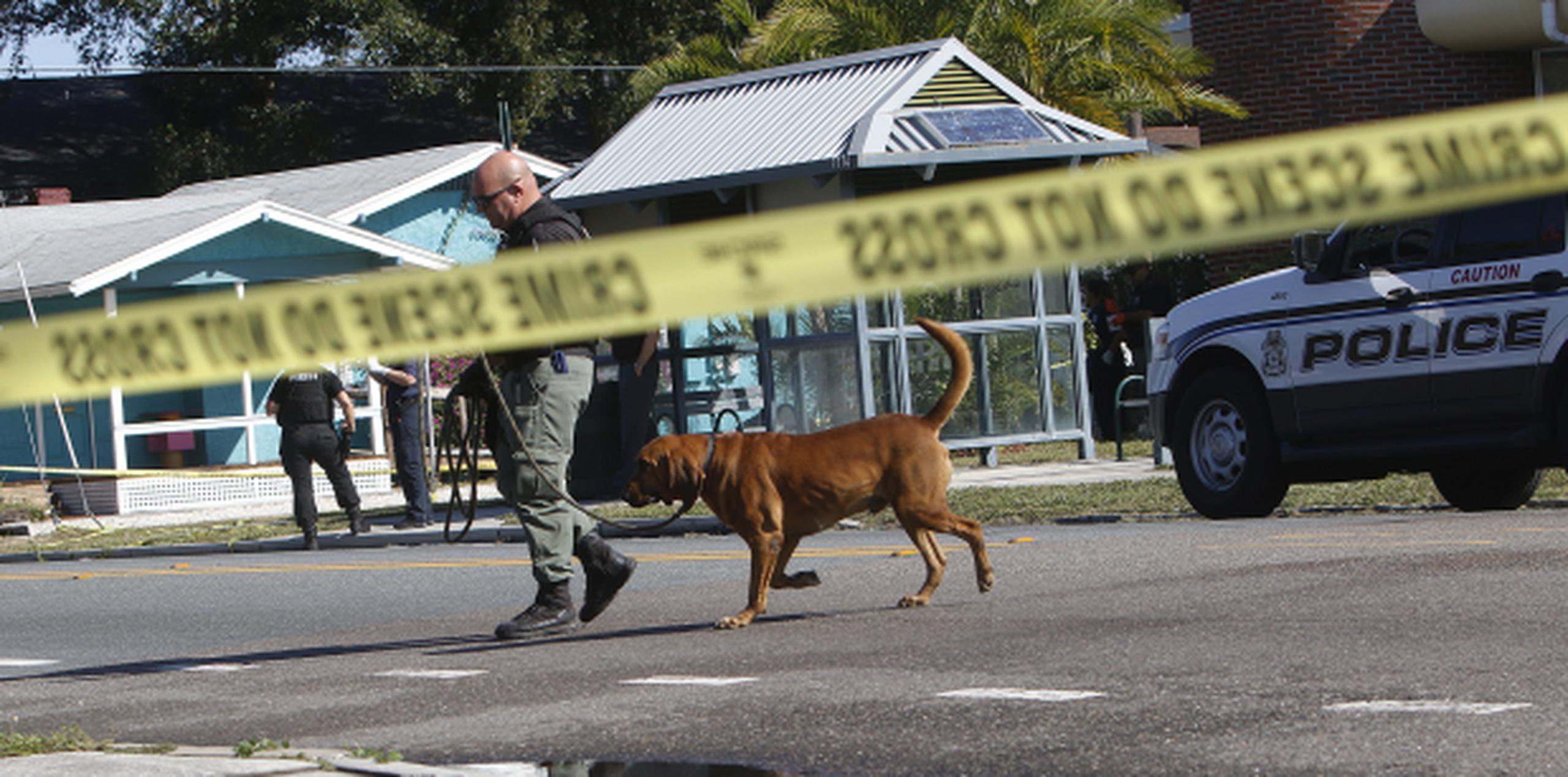 Las autoridades siguen la investigación tras un asesinato en la avenida Nebraska del vecindario Seminole Heights, en Tampa.
 (AP / Octavio Jones / Tampa Bay Times)