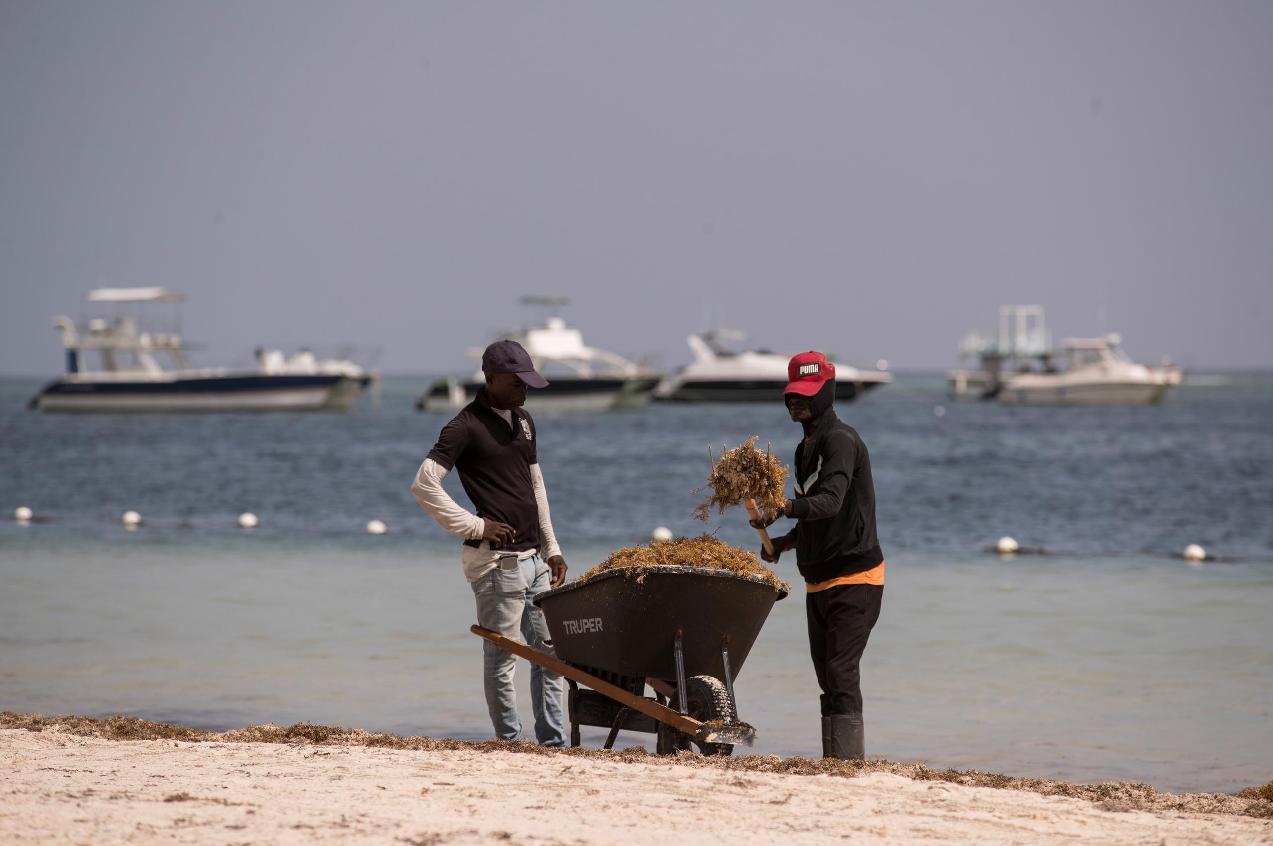 Dos trabajadores limpian una playa cubierta de sargazo, el 1 de septiembre de 2021, en Punta Cana (República Dominicana). EFE/ Orlando Barría
