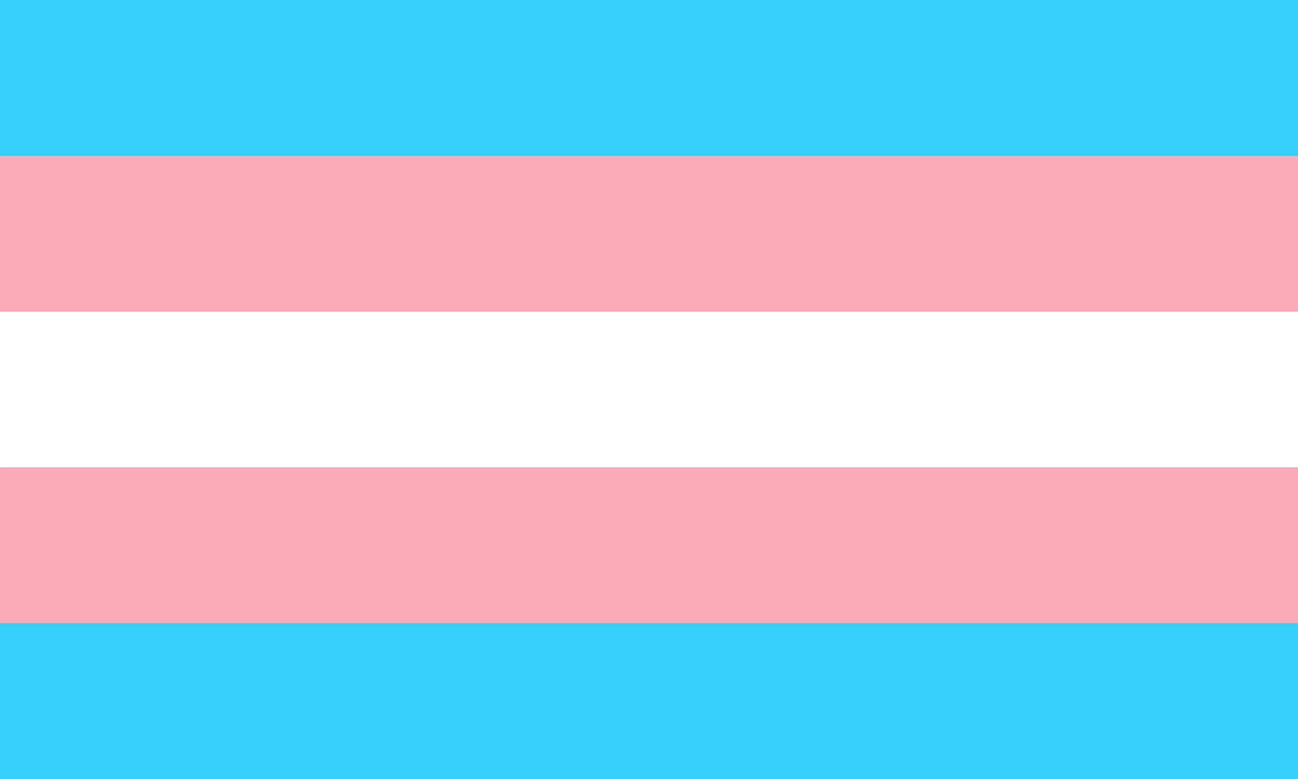 Banderas del orgullo trans.