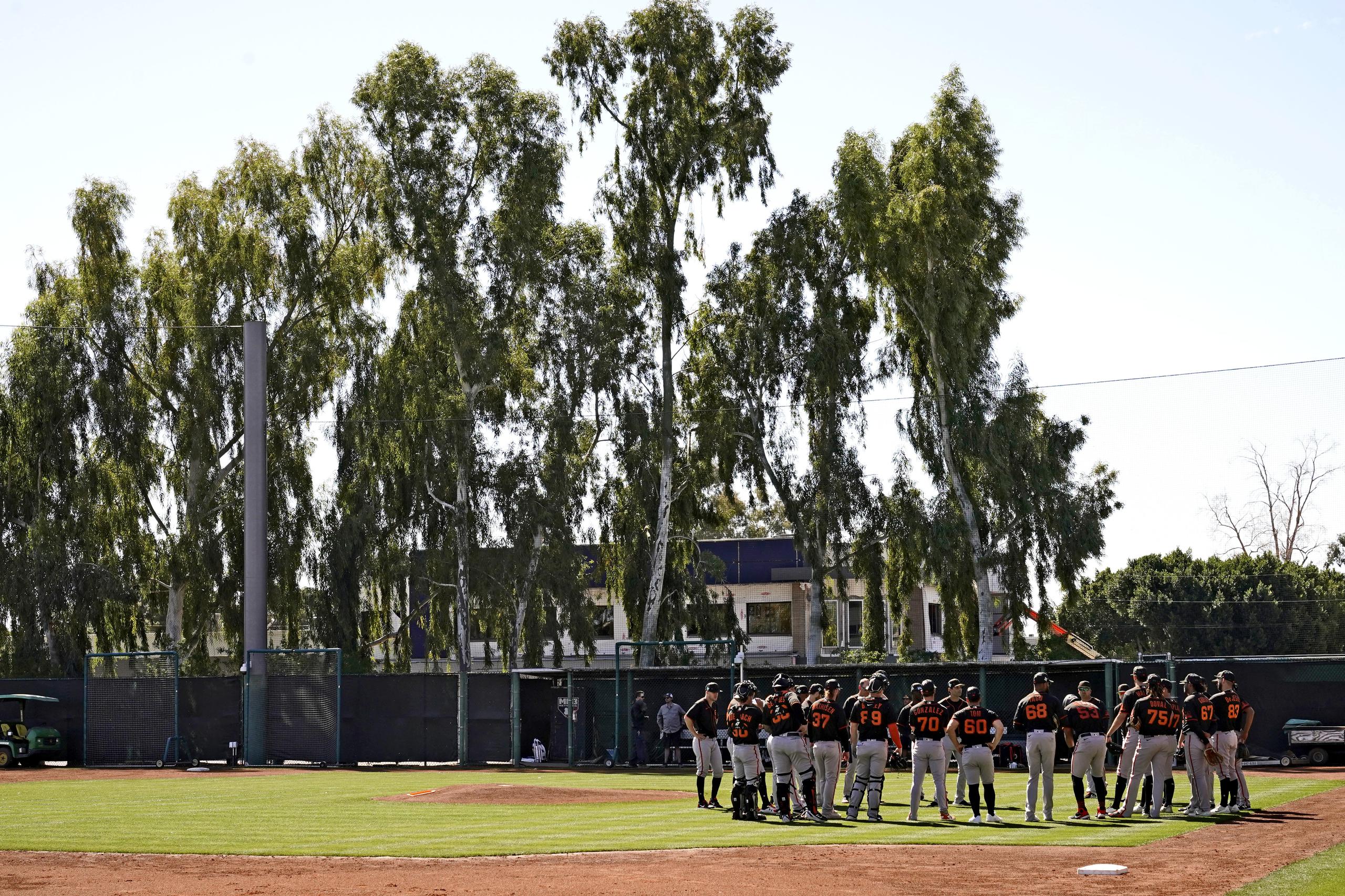Los Giants de San Francisco se reúnen en el terreno durante un entrenamiento de pretemporada el 15 de marzo, en Scottsdale, Arizona (AP Foto/Matt York)