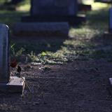 Ciudadana resulta herida al caer en tumba de un cementerio