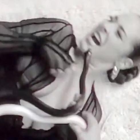 Cantante sufre mordida de serpiente durante grabación de vídeo musical