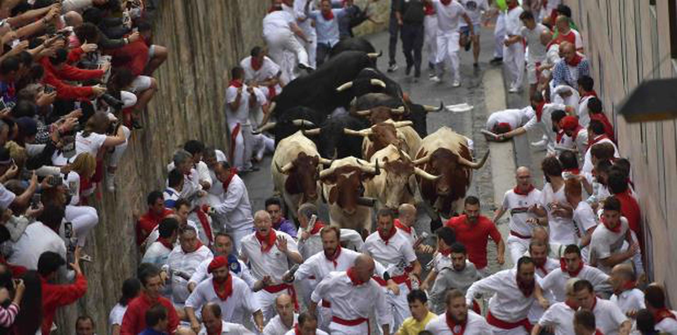 Los toros pesaban entre 1,100 a 1,400 libras cada uno. (AP / Alvaro Barrientos)