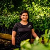 Decenia Vega Rodríguez: maestra del cacao