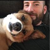 La emotiva historia de Chris Evans sobre cómo adoptó a su perro de edad adulta