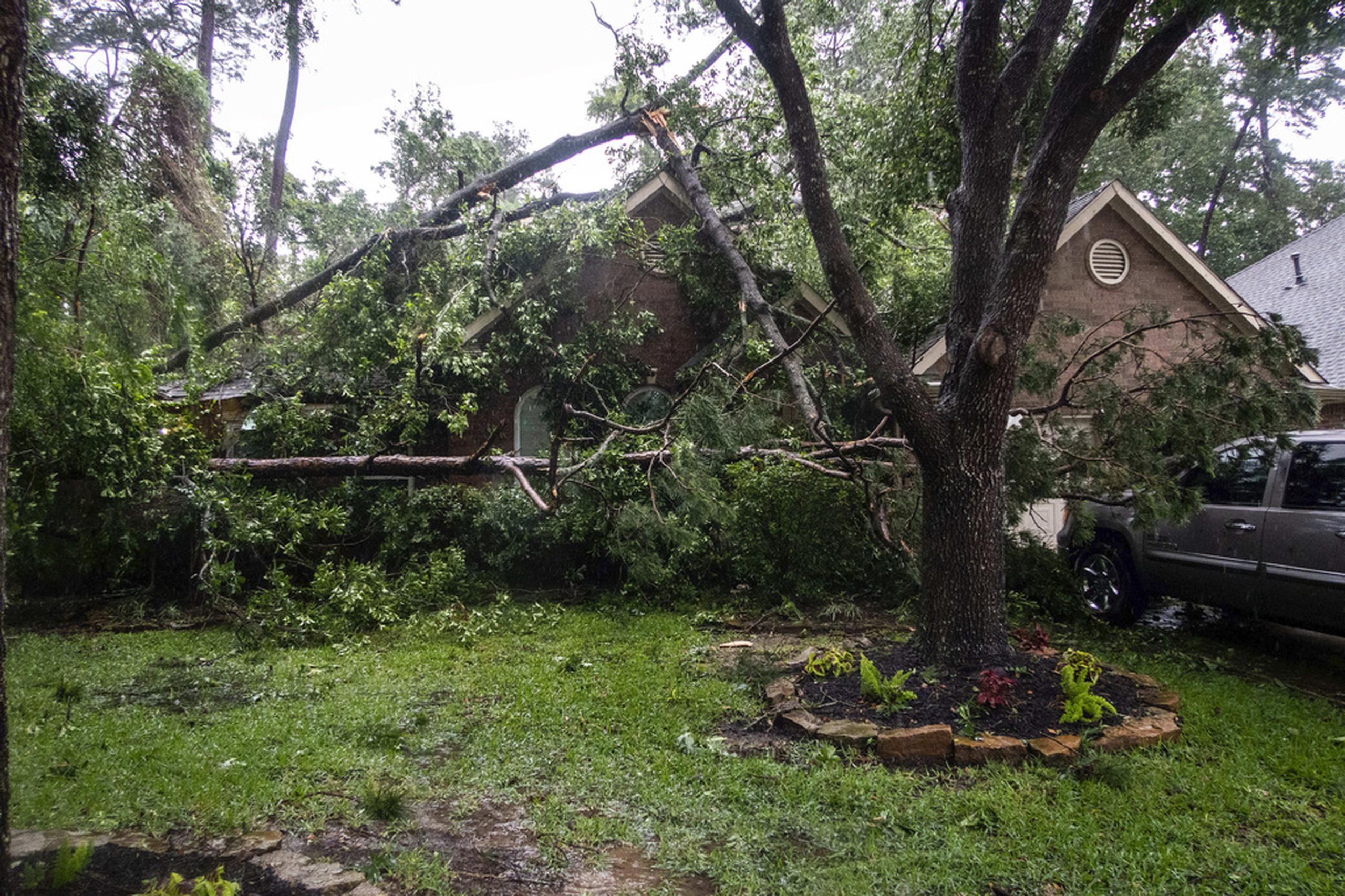 Árbol caído sobre una casa en Spring, Texas.