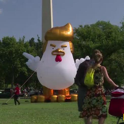  Una gallina inflable frente a la Casa Blanca