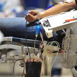 Solicitan donantes de sangre para policía que sufrió un accidente de tránsito en Guayama 