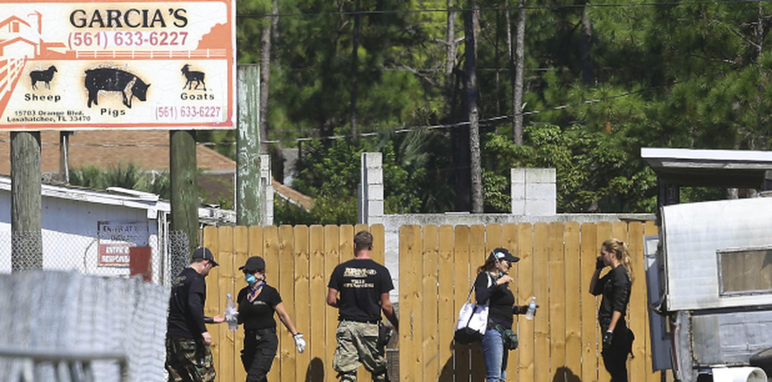 Cerca de un millar de animales fueron rescatados en el operativo, considerado la "mayor operación en la historia Estados Unidos contra la extrema crueldad animal", según una televisora. (AP)