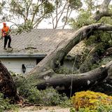 FOTOS: Así se ve California tras fenómeno que dejó lluvias catastróficas