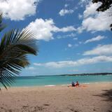 Alertan de playa peligrosa para los bañistas en Cabo Rojo tras ataque de un pez
