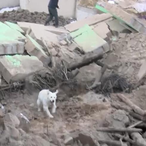 Nueve muertos en Turquía tras un sismo de 5,7 en Irán 