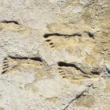 Huellas en Nuevo México evidencian presencia humana en América hace 23,000 años