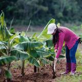 Agroempresarias de Puerto Rico promoverá la autogestión femenina en su Primer Mercado Agrícola