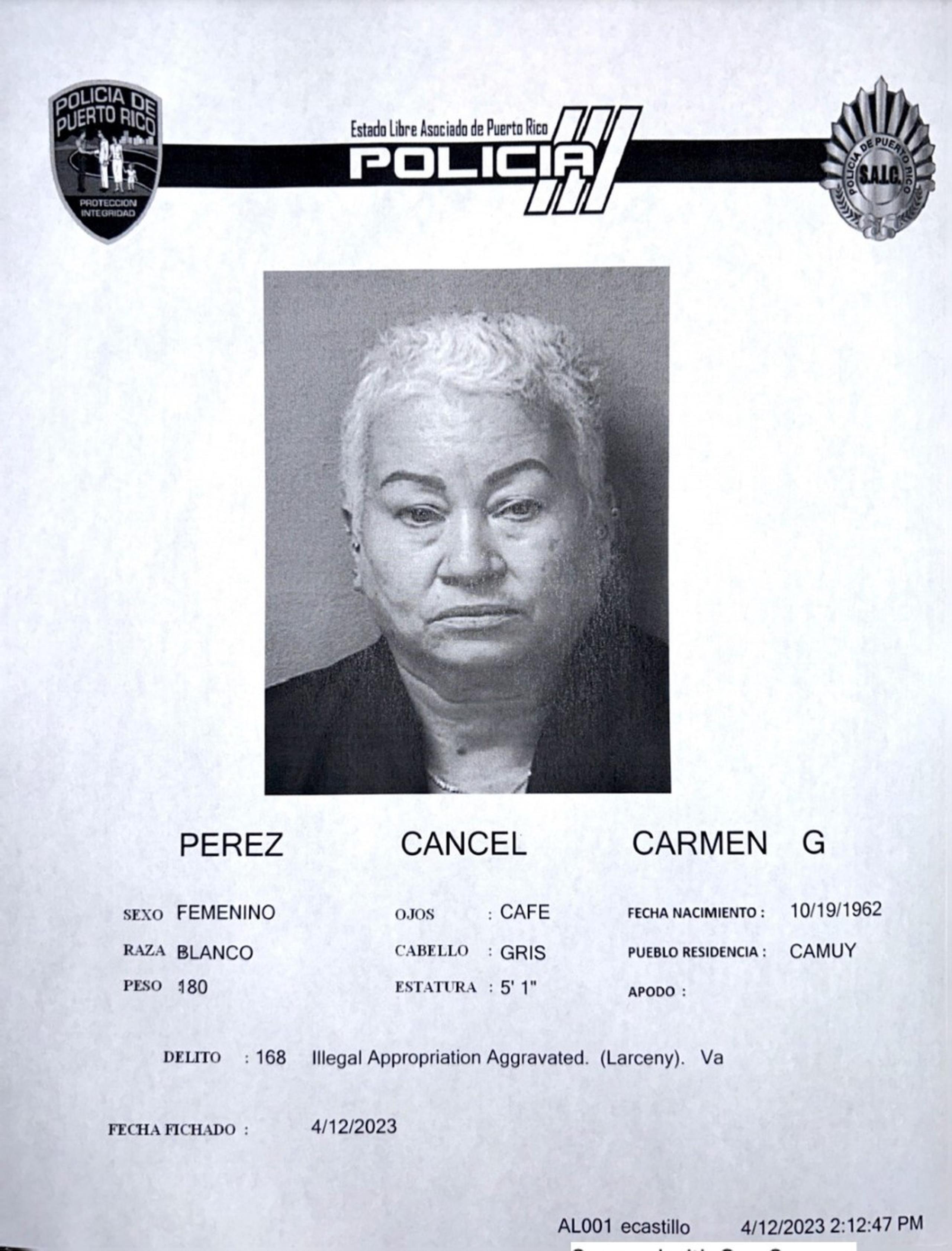 Carmen G. Pérez Cancel, de 60 años, enfrenta cargos por apropiación ilegal de mercancía de una tienda, en Hatillo.