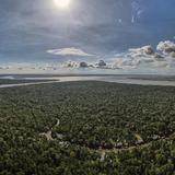 La deforestación en la Amazonía brasileña se redujo un 67.9% en abril