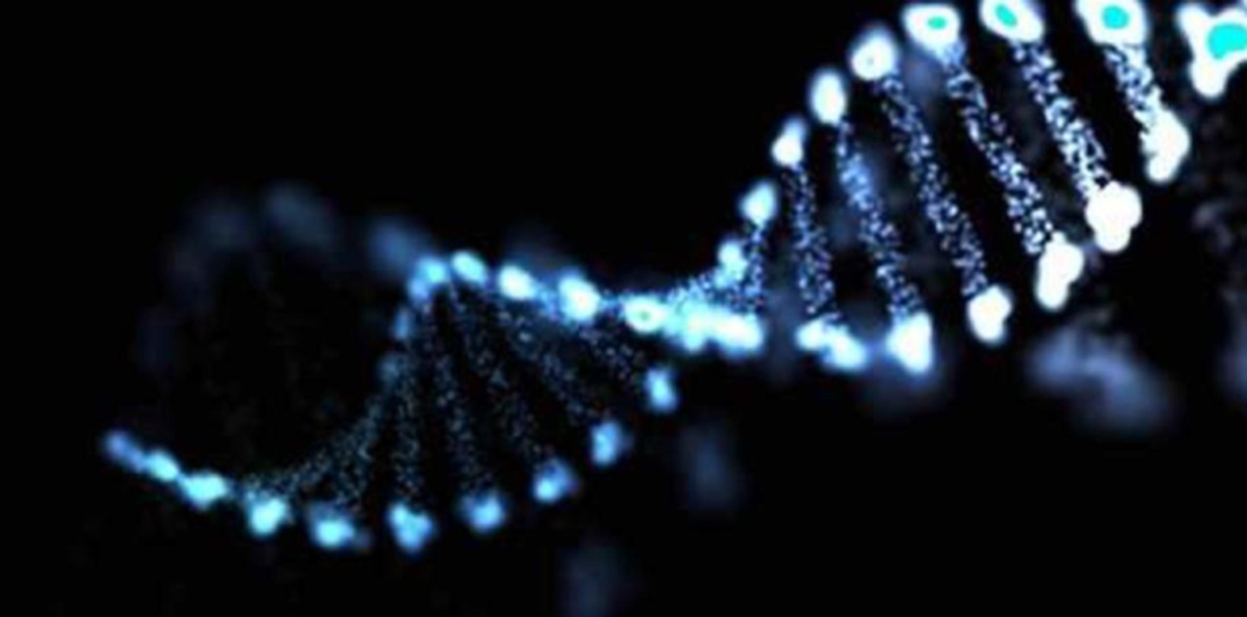 Los estudios genéticos plantearon que una sola mutación en el alelo PINK1 podría conllevar un riesgo enorme de desarrollar la enfermedad.  (El Universal)