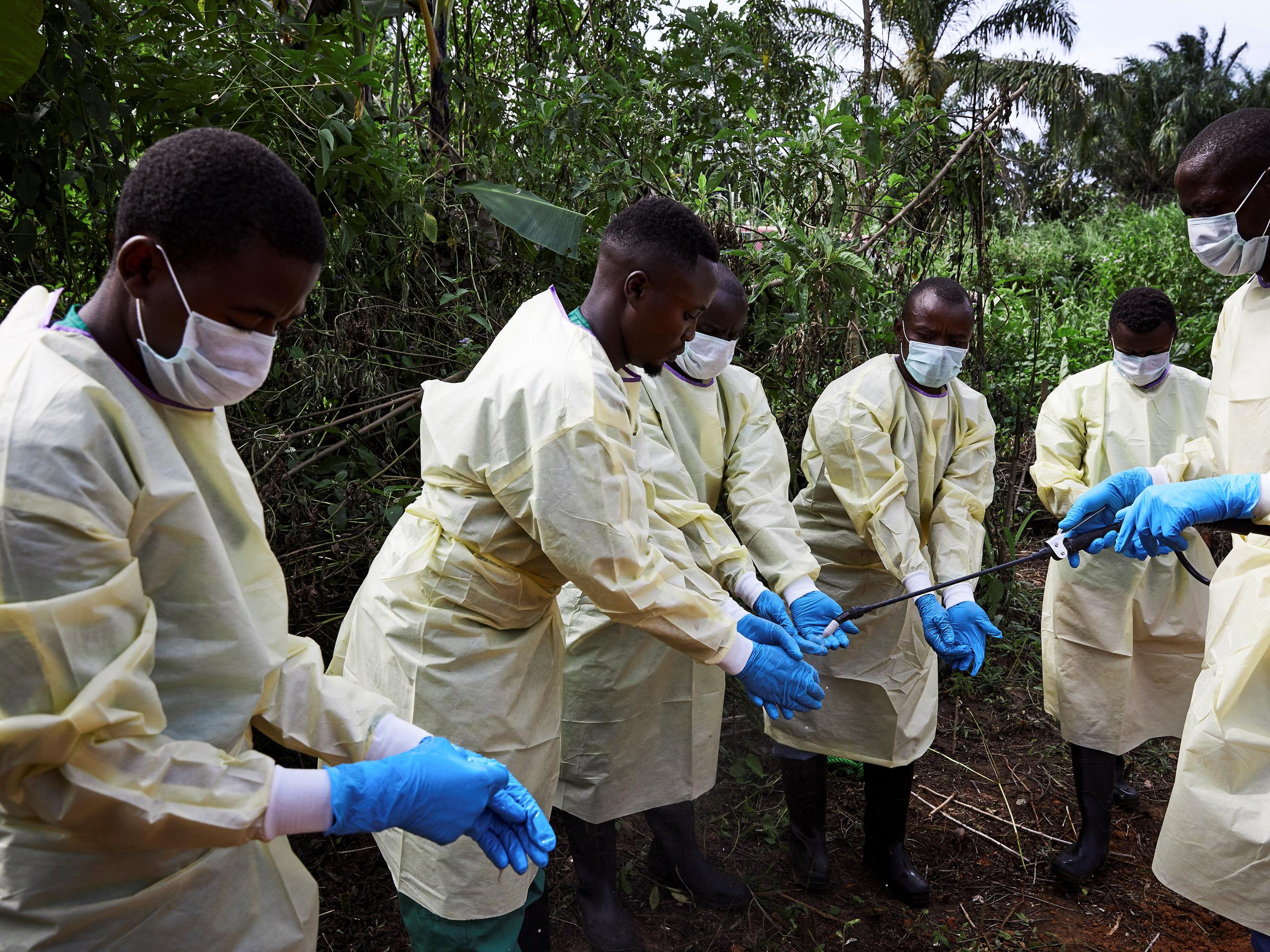 El ébola se transmite por contacto directo con la sangre y fluidos corporales de personas o animales infectados.