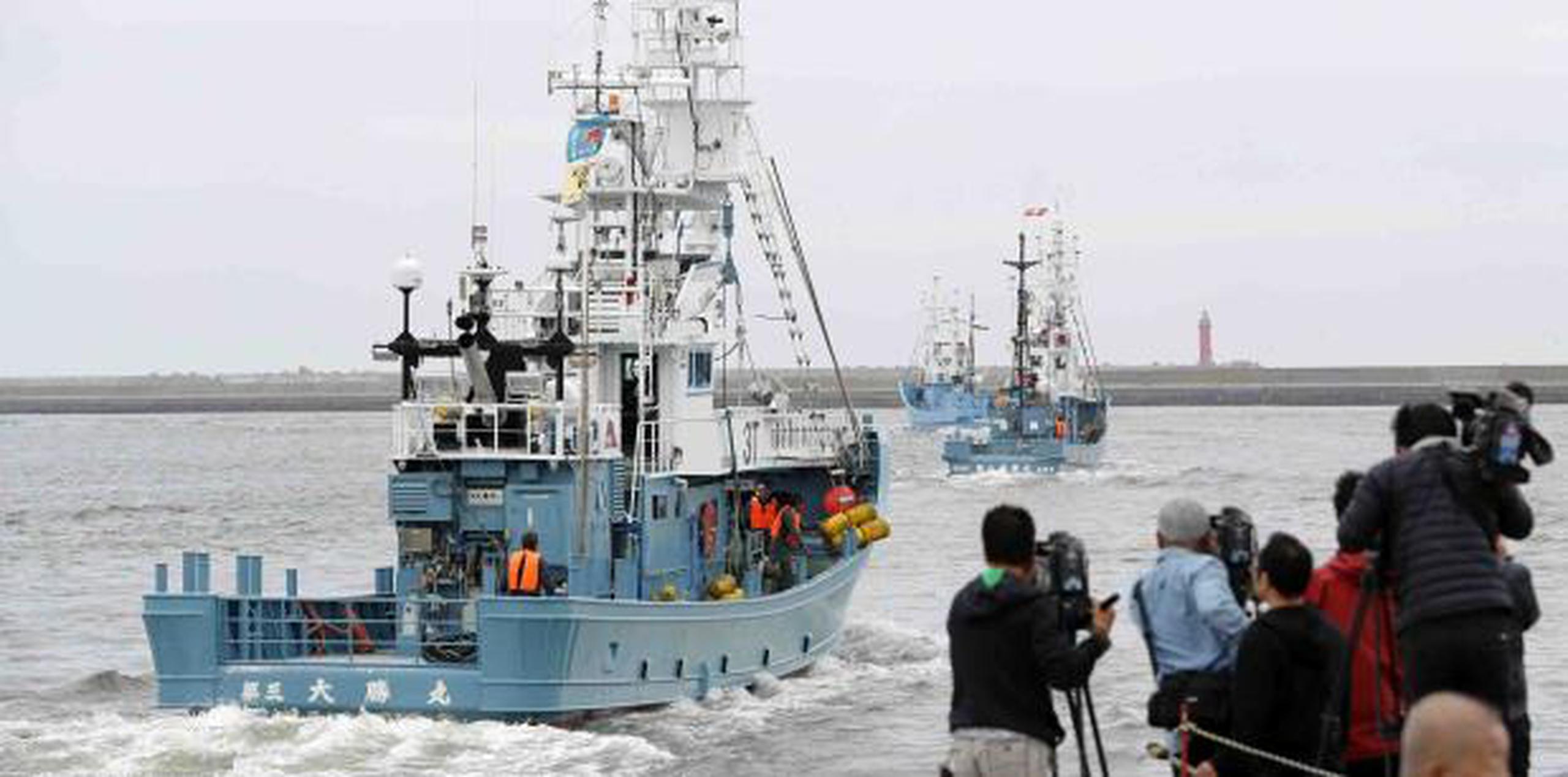 La Agencia Pesquera japonesa dijo que se continuará con la cacería dentro de la zona económica exclusiva del país. (AP)
