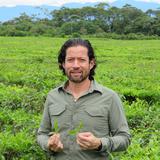 Boricuas en la Luna: Fernando Castillo cultiva el negocio del té desde Quito