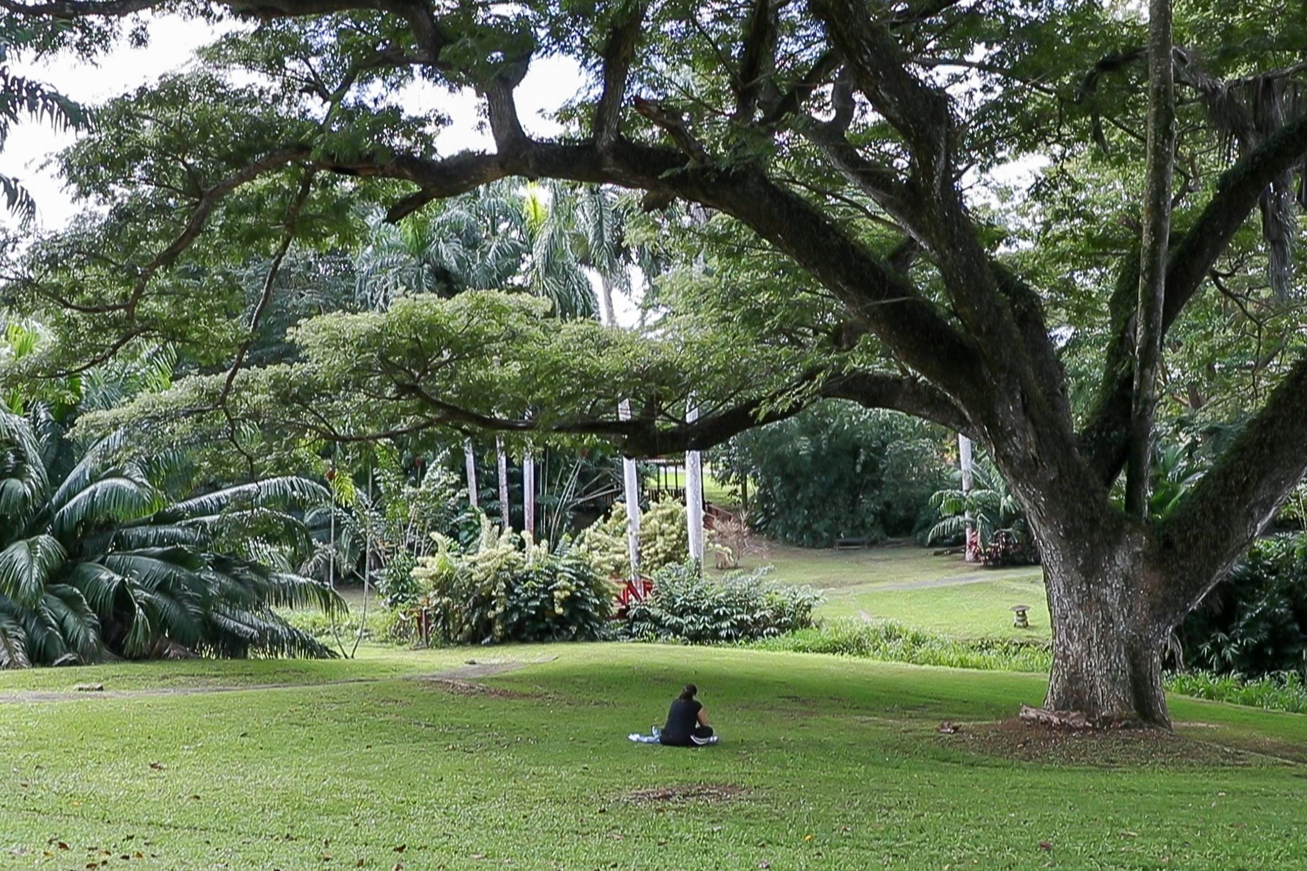 El taller interactivo, titulado Descubre tu propósito, se llevará a cabo en el Jardín Botánico de Río Piedras.