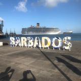Atraque de barcos en Barbados provoca graves daños a corales