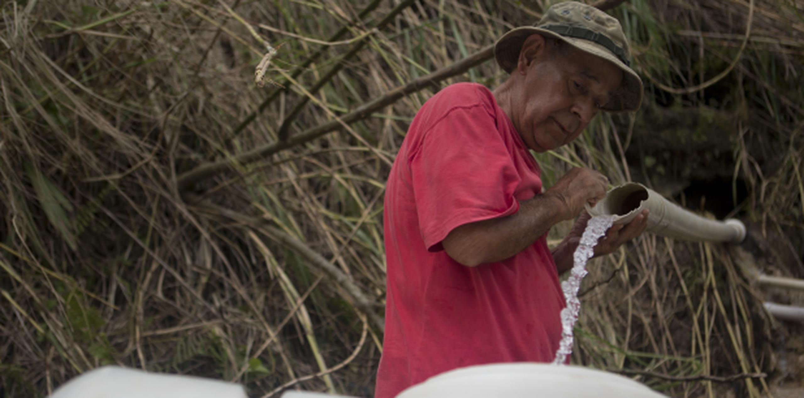 José Rodríguez es parte de las cientos de familias que acuden al sector El Chorro, en la carretera PR-142 hacia Corozal, que utilizan chorros de un manantial cercano para poder tener agua. (teresa.canino@gfrmedia.com)
