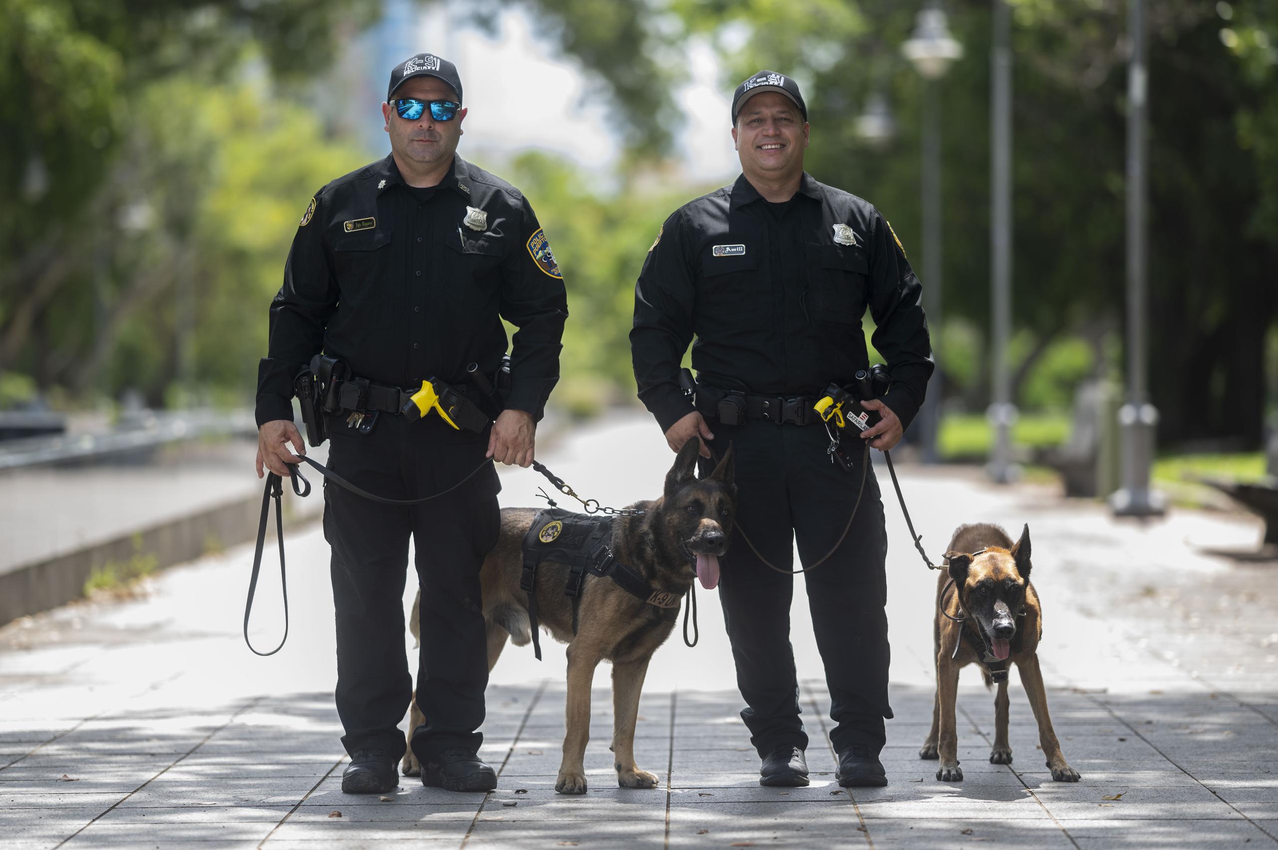 Carlos Chaparro y Félix González, agentes de la División Canina del Negociado de la Policía de Puerto Rico, acogieron en sus hogares a Jarik y Charlie, canes K-9 retirados.