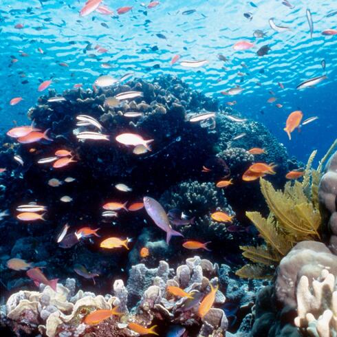 Un mar de posibilidades