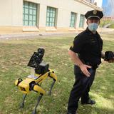 Perros robot de policía para detectar fiebre en indigentes