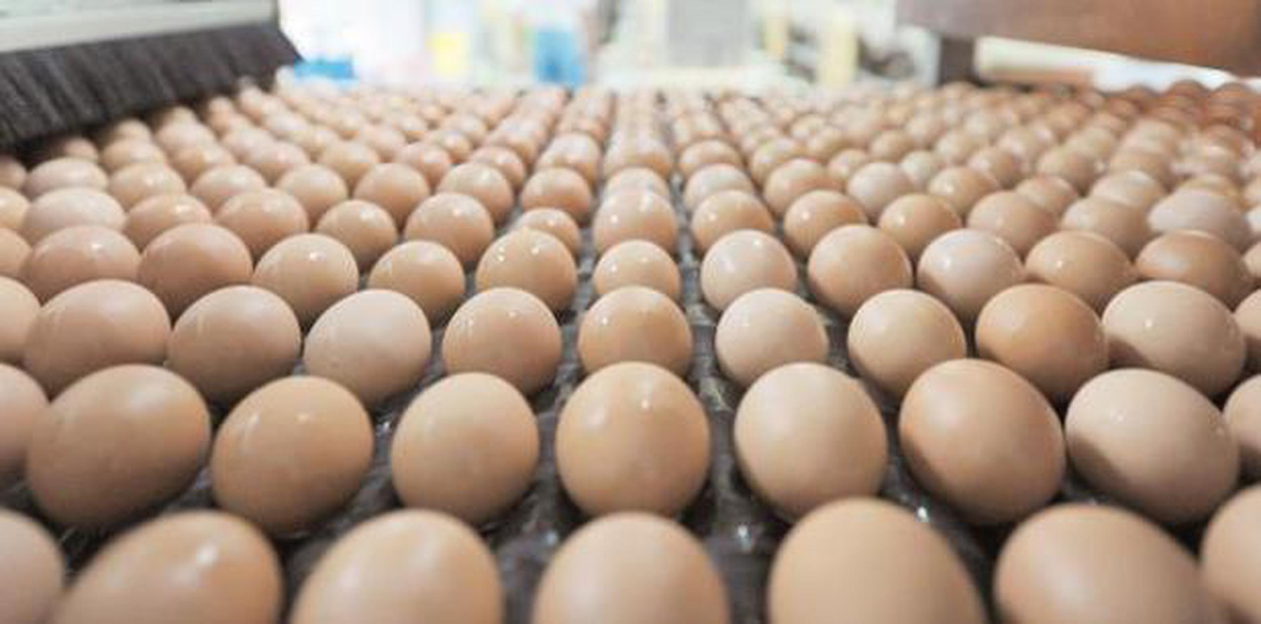 Dicen que no hay peligro para los consumidores y que los huevos están siendo retirados como medida de precaución.  (Archivo)