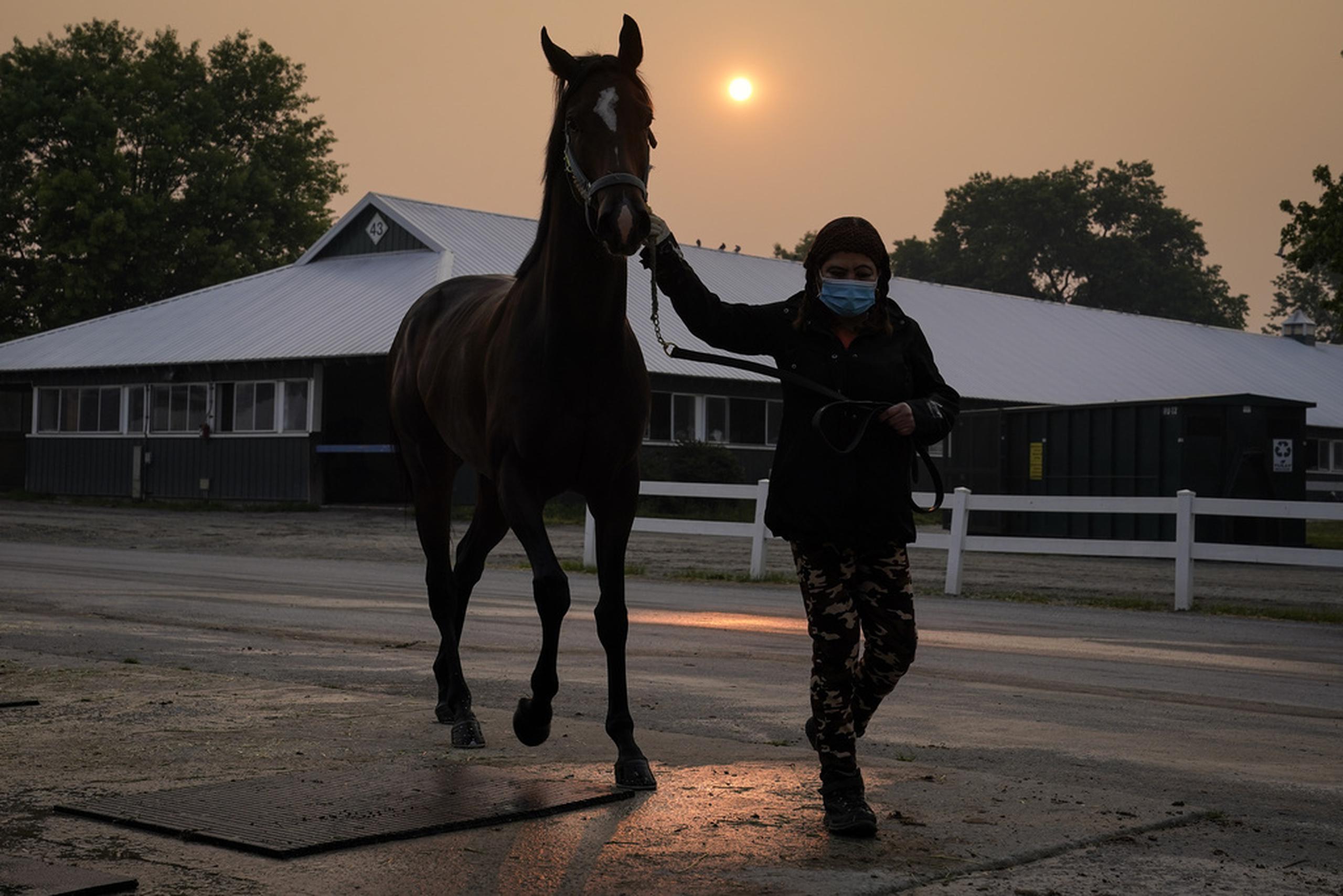Una cuidadora usa máscara mientras lleva a un caballo de regreso a los establos mientras el sol se oscurece al fondo debido a la neblina causada por los incendios forestales del norte antes de la carrera de Belmont Stakes.