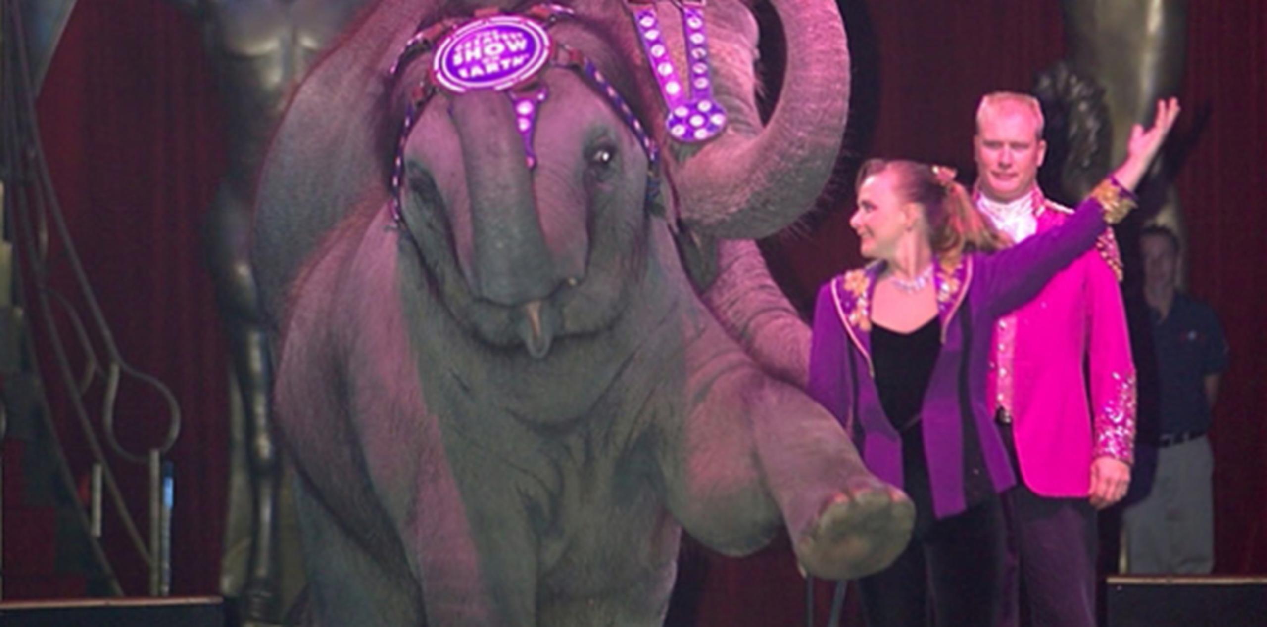 En la actualidad hay once elefantes que participan en actuaciones para el circo. (Archivo)