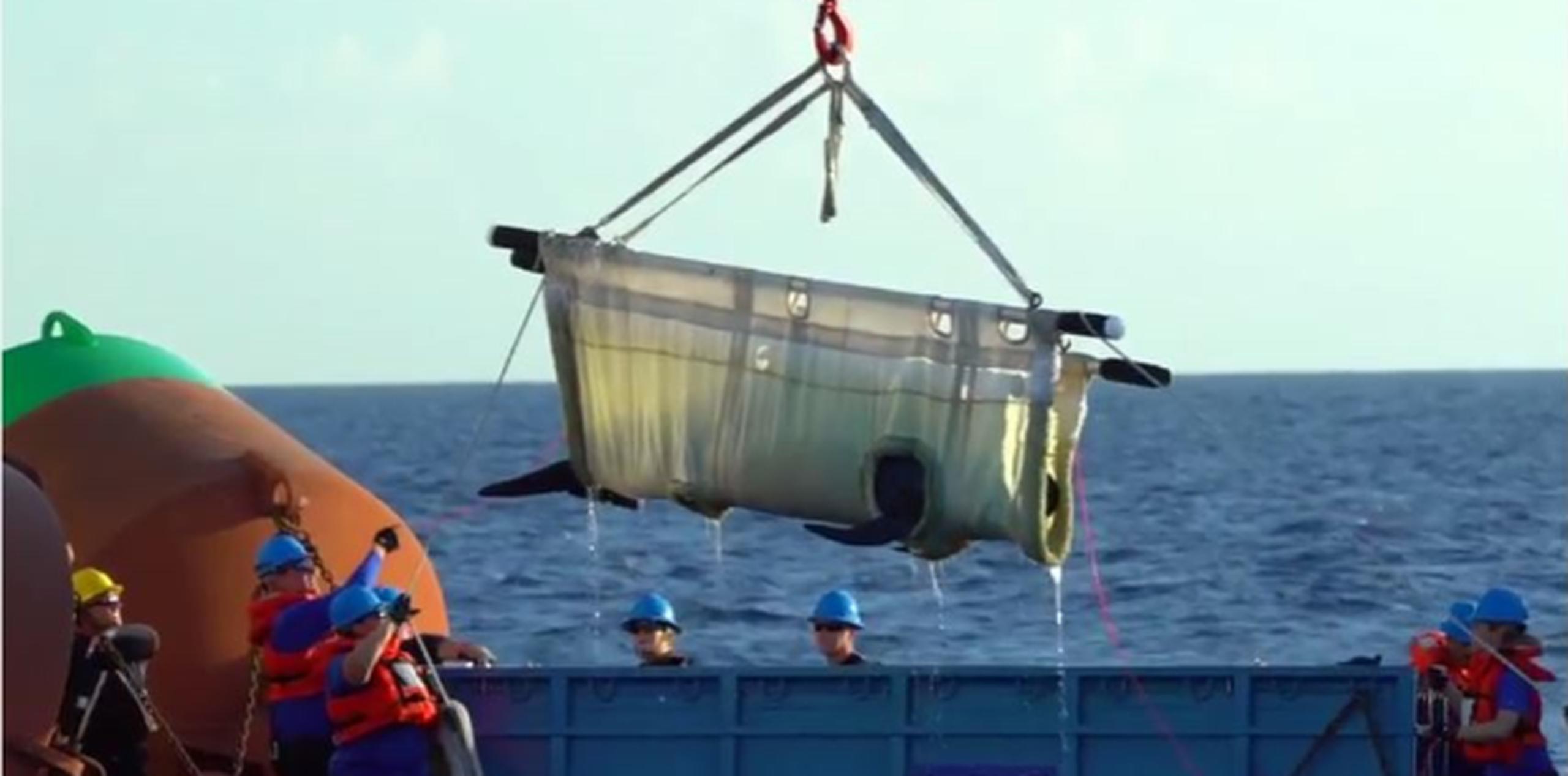 Un barco de la Guardia Costera se encargó de transportar mar afuera a "Gale" para devolverla al mar. (Captura/YouTube)