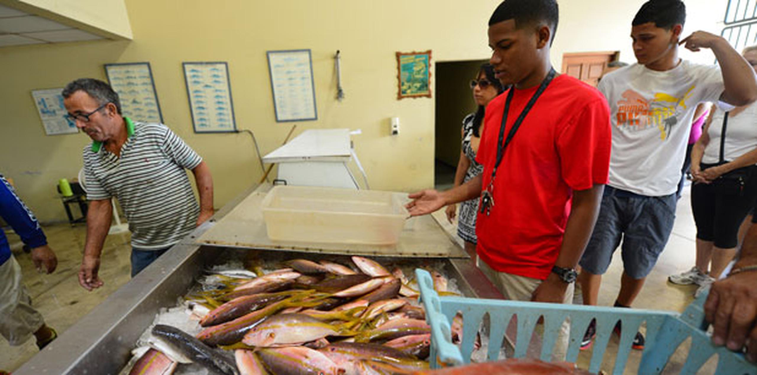 El pescado fresco que más se vende en Puerto Rico es la colirrubia y  el chillo. (luis.alcaladelolmo@gfrmedia.com)