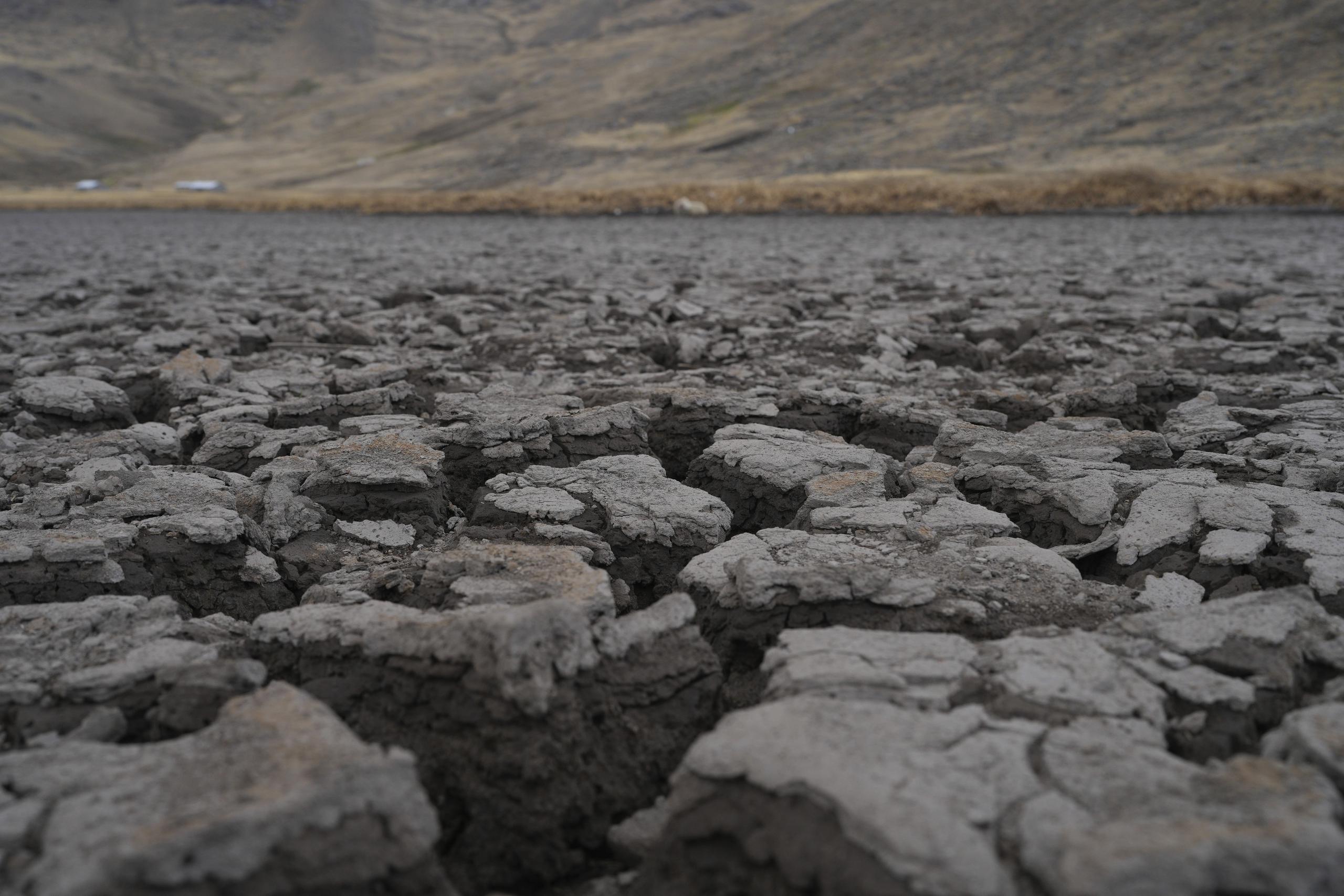 Una corteza seca en el lecho de la laguna de Cconchaccota en la región Apurimac de Perú.