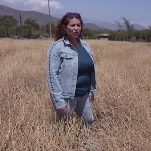 Chile en tiempos de COVID-19: "Es humillante no tener agua"