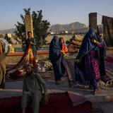 Talibanes disuelven ministerio del gobierno que trataba asuntos de la mujer