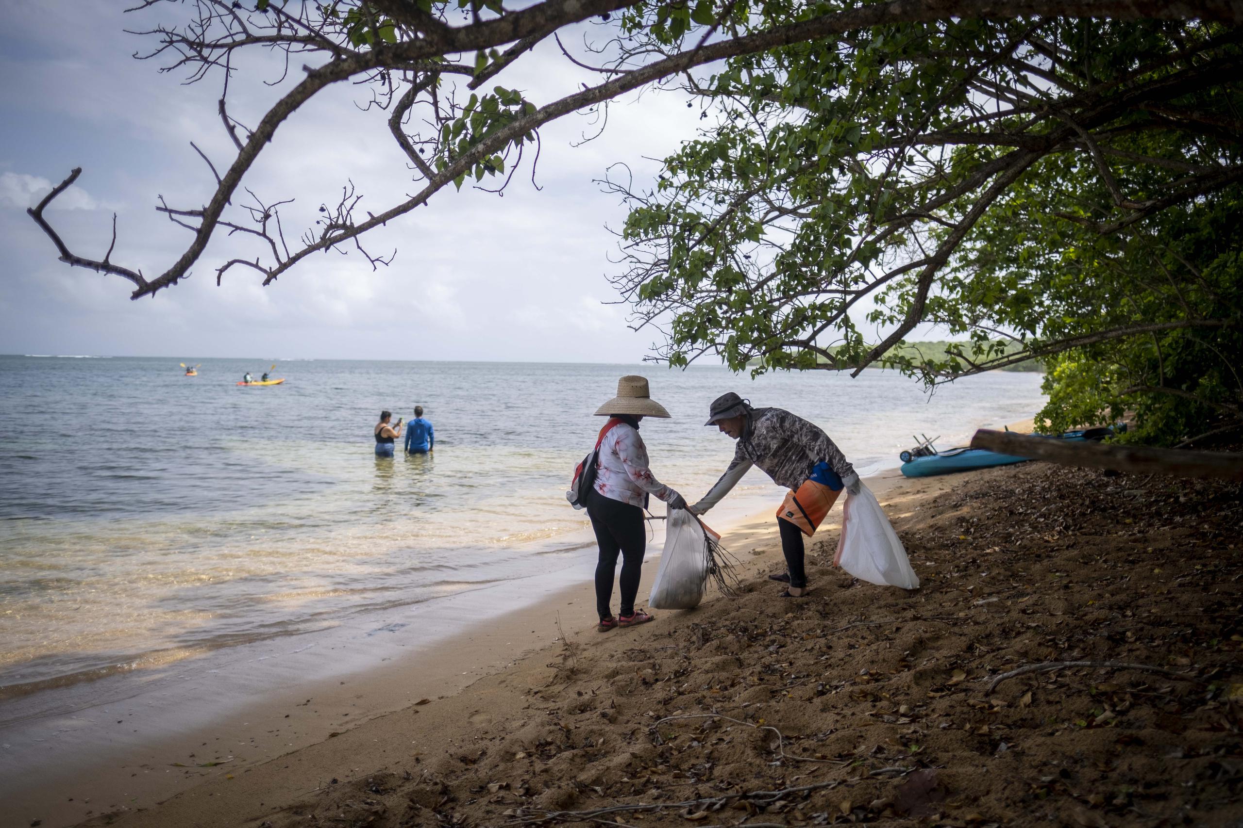 También hubo limpieza de playas en la Reserva Las Cabezas de San Juan en Fajardo.