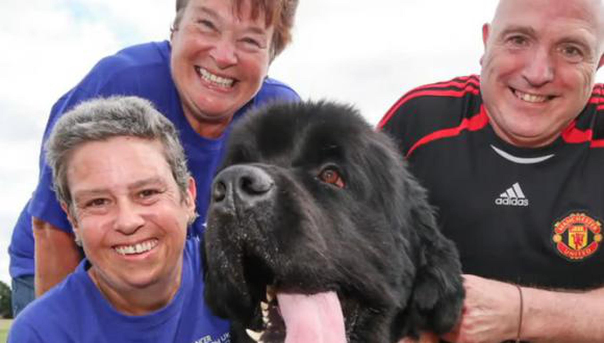 Brody, un perro de raza Terranova, se percató de una anomalía que sufría su dueña, Lucy, en la áxila derecha, la cual resultó ser cancerígena.