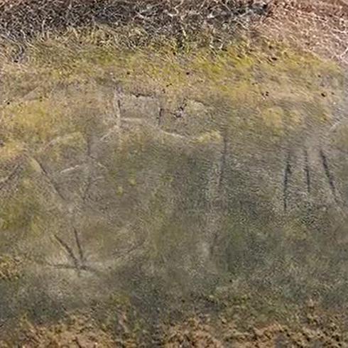 Huellas de un petroglifo indígena en Rincón