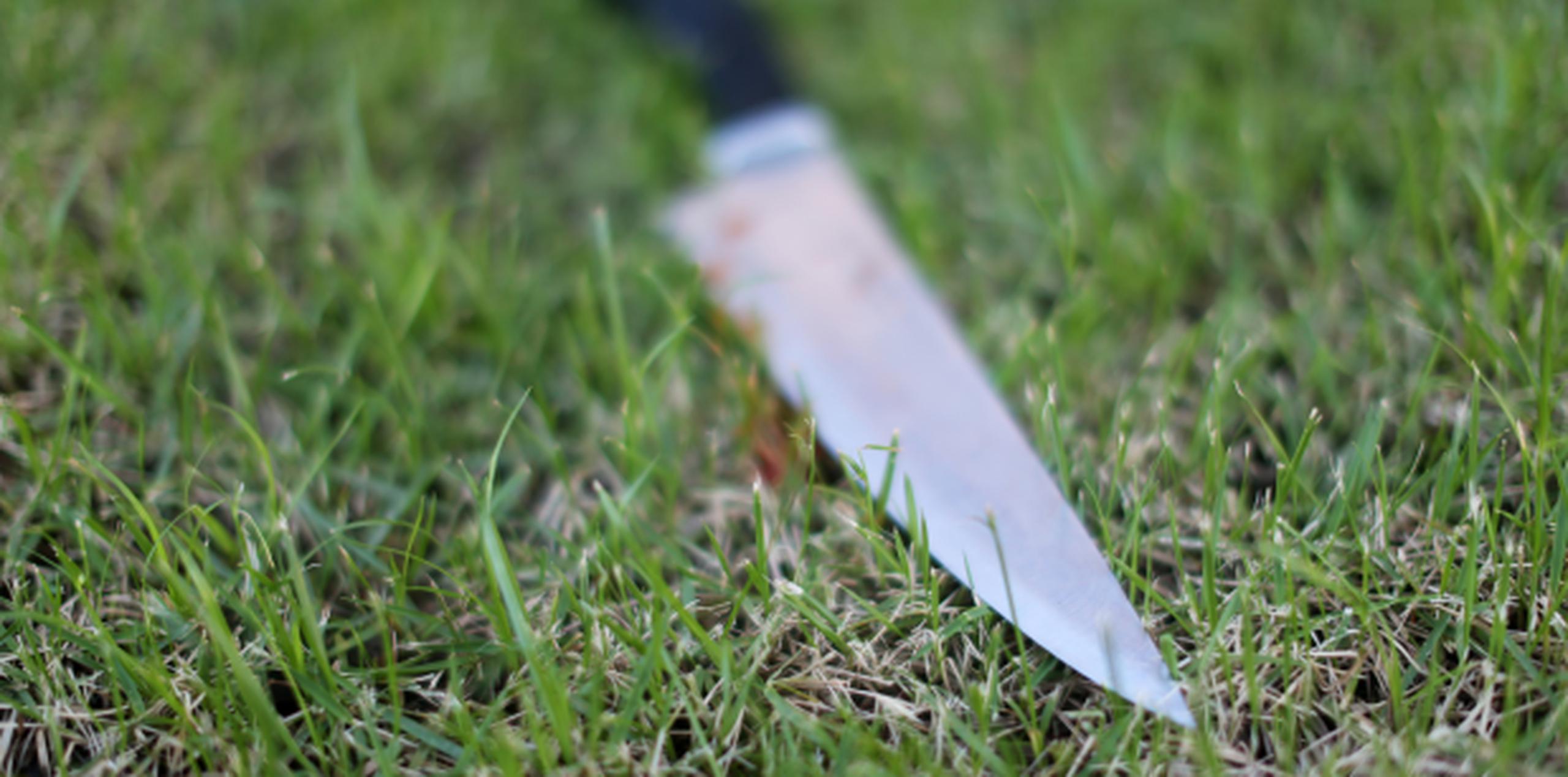 La madre atacó a sus cinco hijas con un cuchillo de cocina. (Archivo)