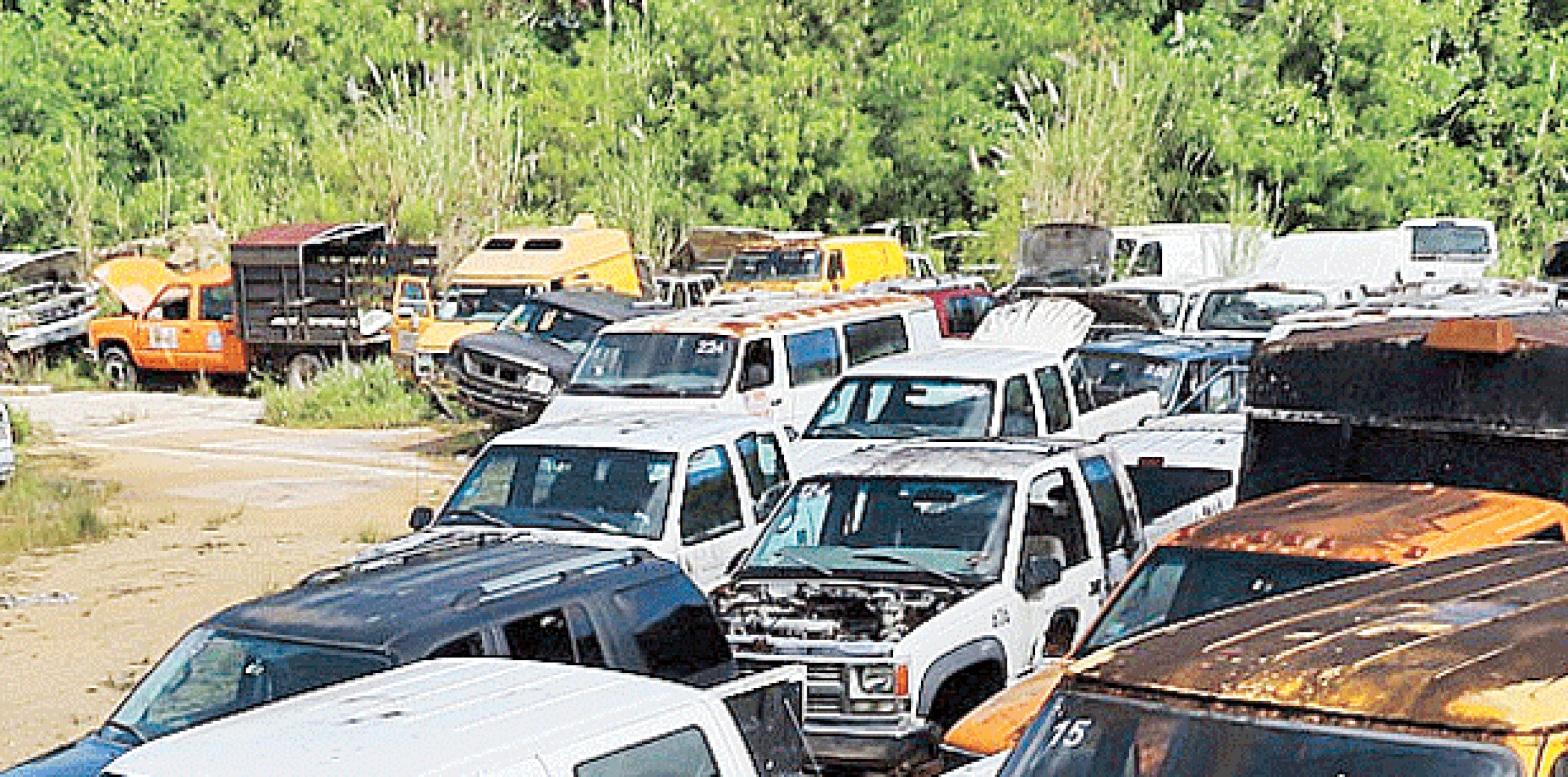 Personal de la División de Vehículos Hurtados de Vega Alta acudirá al lugar para ocupar los autos. (Archivo)