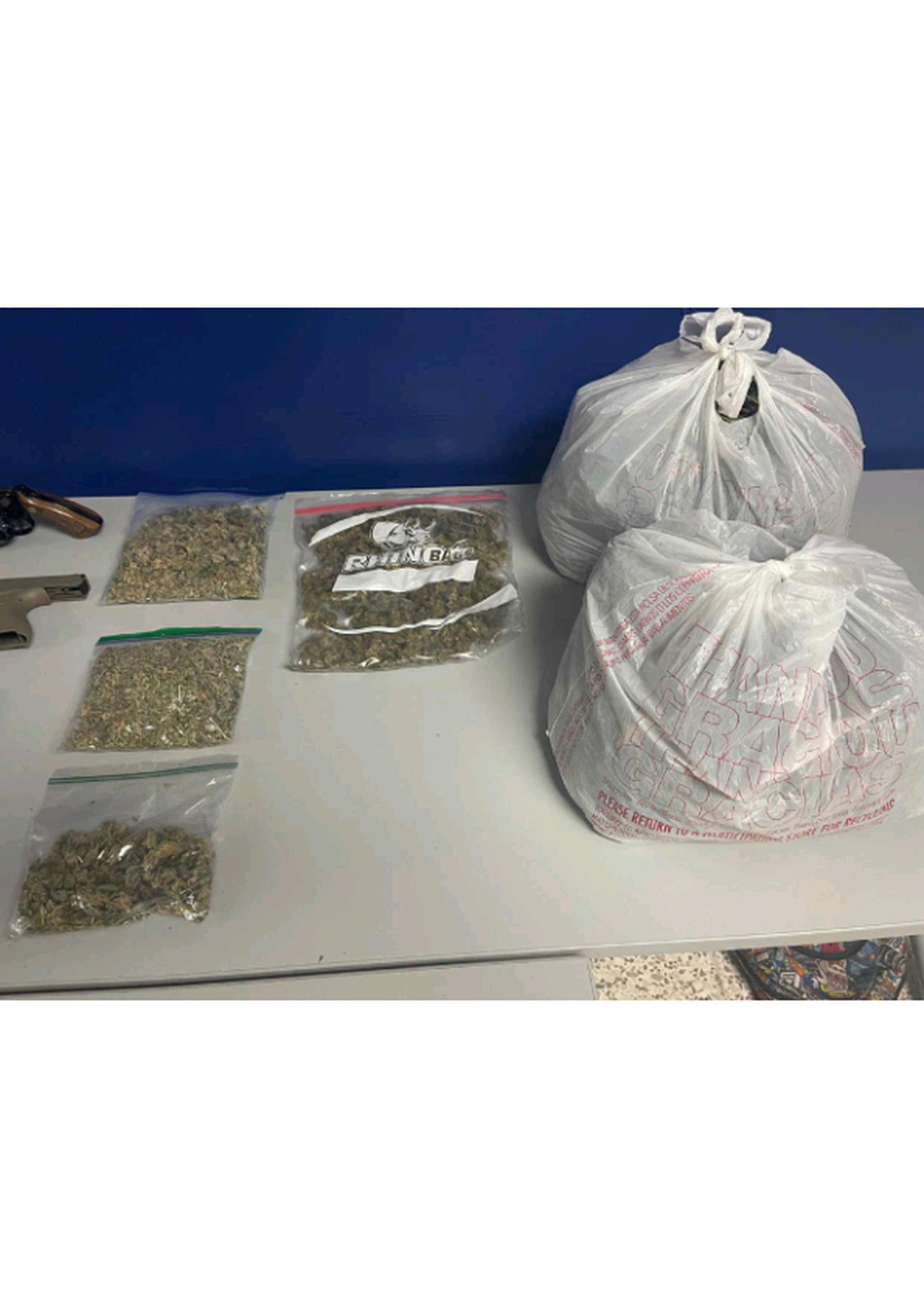 Las bolsas con picadura de marihuana fueron ocupadas en un allanamiento en el barrio Sabana Seca, en Toa Baja.