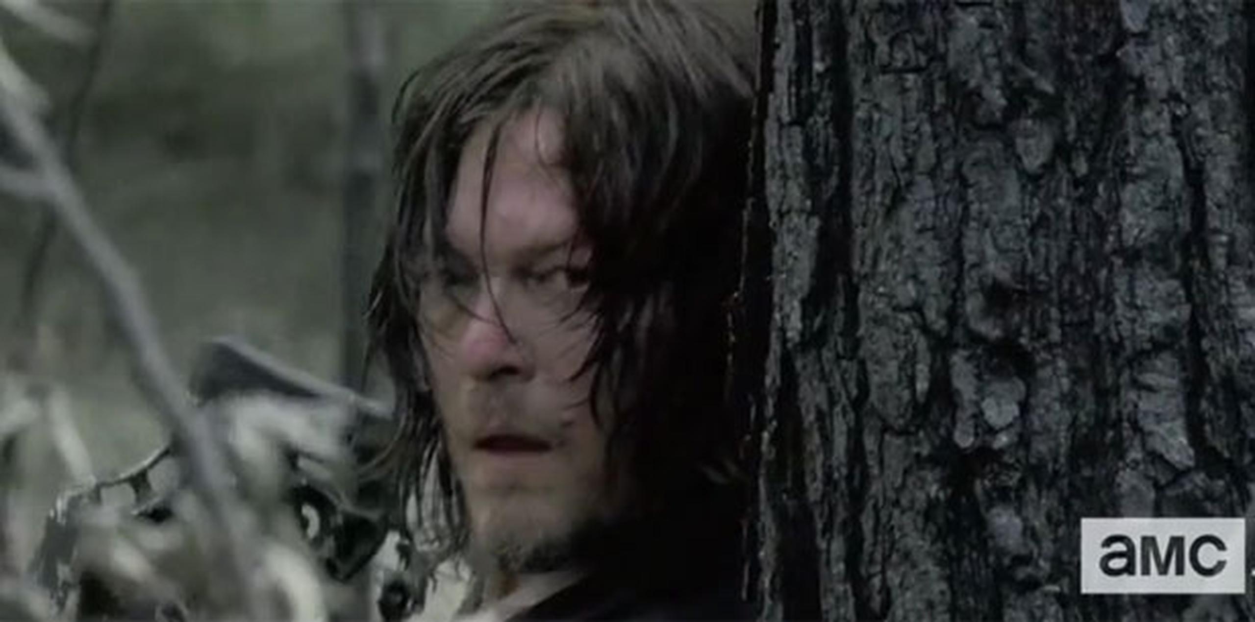 Daryl, huyendo de una lluvia de proyectiles, llega herido hasta una parte quemada del bosque.